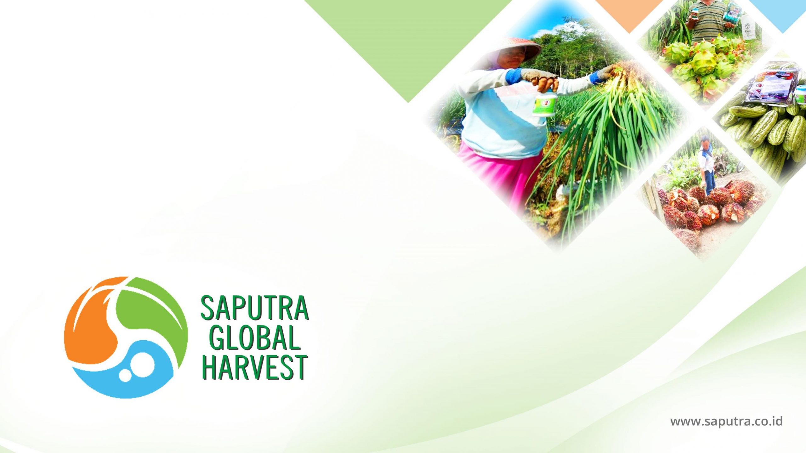 Saputra Global Harvest